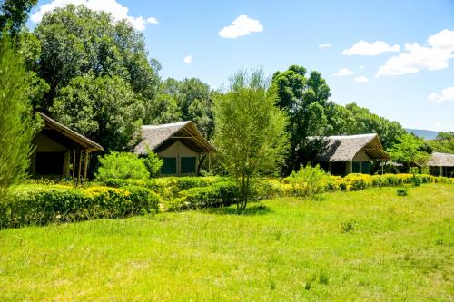 Maasai Mara Hotel | Family-Friendly Giraffe Hills Mara Camp with Restaurant & Breakfast