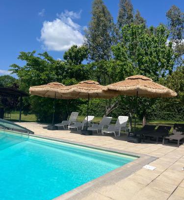 Saint-Justin House | Discover Logis Gascons Gite 1: Pet-Friendly Retreat