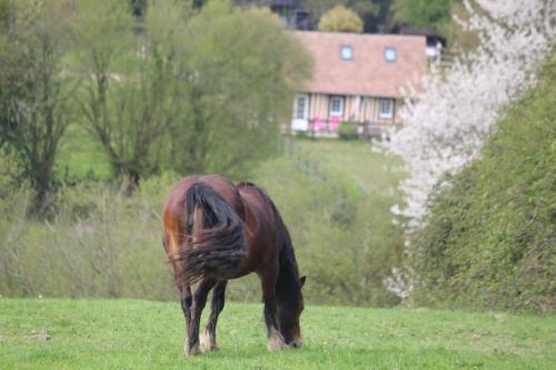 Pays d'Auge House | Exceptional Gite A la petite Bretonnière - Guest Rated 9.3