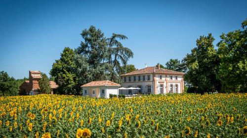 Lacourt-Saint-Pierre House | Relaxing Gite ANDA with Pool in Montauban - 9.5/10 Rating