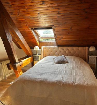 Saint-Die Apartment | Charming Gite "Au Cœur des Vosges" - Family & Pet Friendly