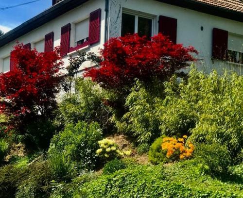 Breitenbach-Haut-Rhin House | Gite Chez Mimie: Oceanfront Retreat with Pet-Friendly Vibes