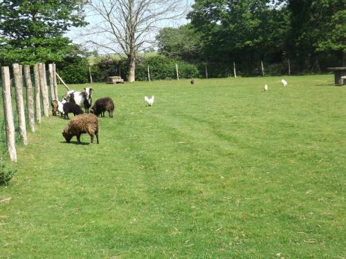 Saint-Segal House | Pet and Child Friendly Gite De Penn Ar Stank Awaits You
