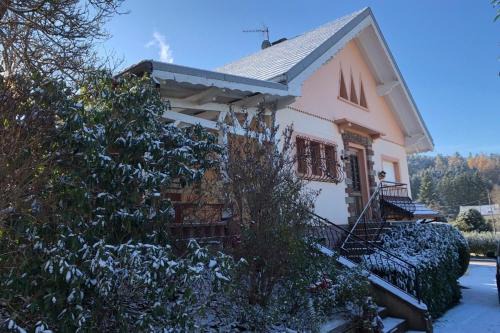 Fraize Villa | Gite des Hauts Jardins: Family & Pet-Friendly Retreat