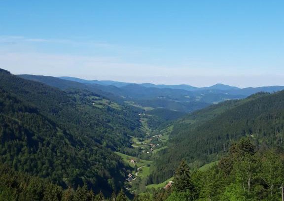 Sainte-Marie-aux-Mines Apartment | Discover Gite des Mines d'Argent: Pet-Friendly Retreat