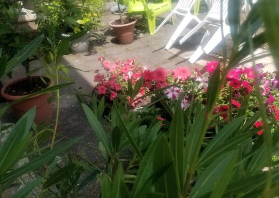 Saint-Georges-de-Mons House | Enchanting Gite La Maison d'Odette - 9.2/10 Guest Approved