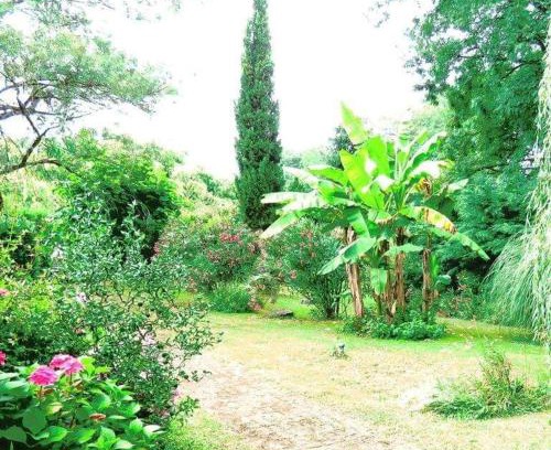Buanes Apartment | Pet-Friendly Gite Matilon Near Eugénie les Bains