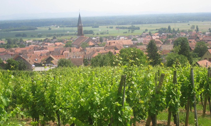 Kintzheim House | Serene Gite on Wine Route with Scenic Kintzheim Castle Views
