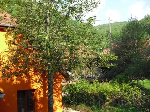 Rammersmatt House | Pet-Friendly Gite S'Hiesla with High Guest Ratings