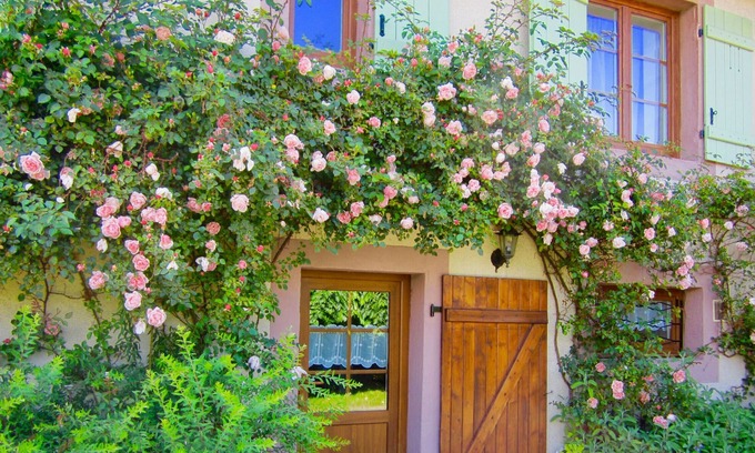 Saint-Ame Cottage | Cozy Gite Saint-Amé: Perfect for Families & Pet Lovers