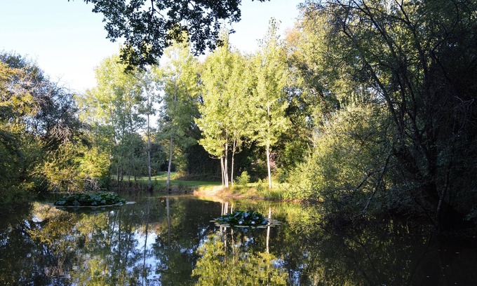 Savigne Cottage | Gite with Private Pool in Savigné – Family-Friendly Escape