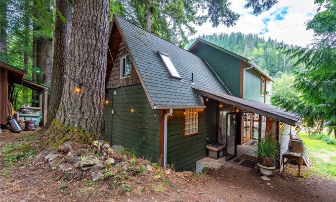 Peaceful Valley Cabin | Pet-Friendly Glacier View Cabin with Hot Tub by Mt Baker