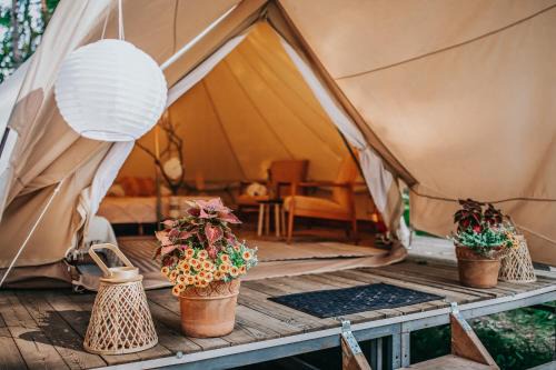 Sudomerice u Bechyne Other | Explore Nature at Glamping Černická Obora Experience