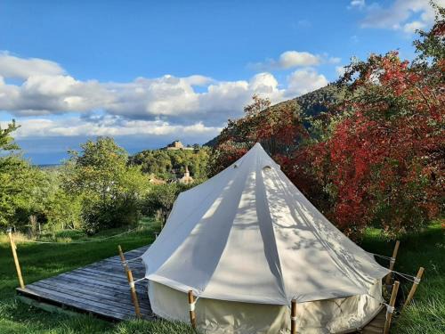 Cisnadioara Other | Family-Friendly Glamping at Cisnadioara for Nature Lovers