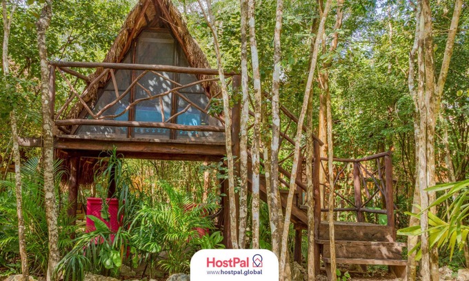 Leona Vicario Cabin | Glamping Luma | Encuentra tu zen en la jungla