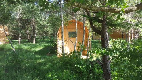 Nordholz Other | Pet-Friendly Glamping Pod in the Woods - Rated 9.3/10