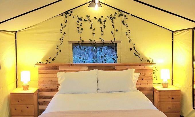 Murphy Apartment | Pet-Friendly Glamping Tent in The Woods - Rated 9.2/10