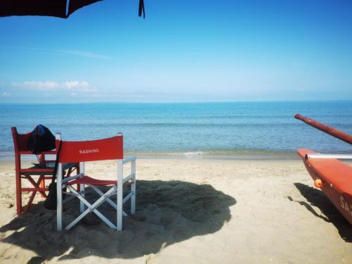 Tirrenia Apartment | Cozy Retreat Steps from the Beach with Pet-Friendly Perks