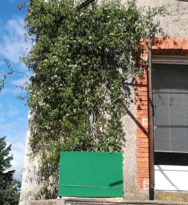 Chambon House | Glycines et jasmins