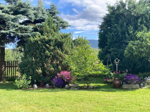 Czerniawa-Zdroj Apartment | Guest Rated: Gościniec Pod Bukiem - Family-Friendly Retreat