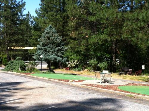 Cedar Ridge Hotel | Pet-Friendly Retreat at Golden Chain Motel with Pool Access