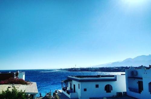 Dahab Resort | Cozy Golden Europe Hotel with Oceanfront Views and Dining
