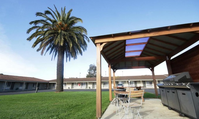 Grovedale Hotel | Discover Golden Palms Motel: Family-Friendly & Accessible Stay