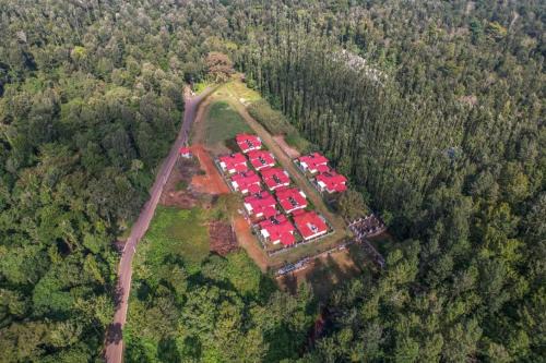 Yercaud Villa | Discover Goldenoaks Resort: Your Next Getaway Awaits