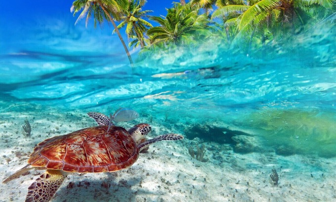 Kahuku House | Tranquil Turtle Bay Retreat with Golf Course and Spa
