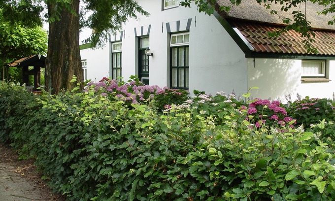 Municipality of Westervoort House | Experience Goltackers: Pet-Friendly Farm Stay with Pool & Spa