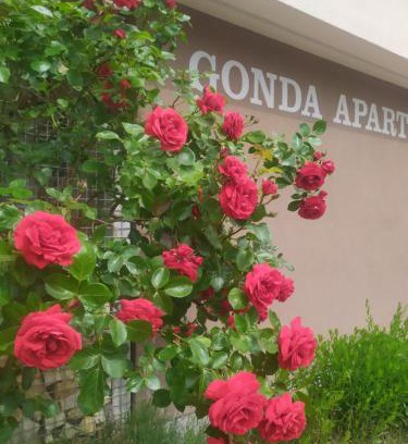 Hradec Kralove Apartment | Highly Rated Gonda Apartments with Family-Friendly Amenities