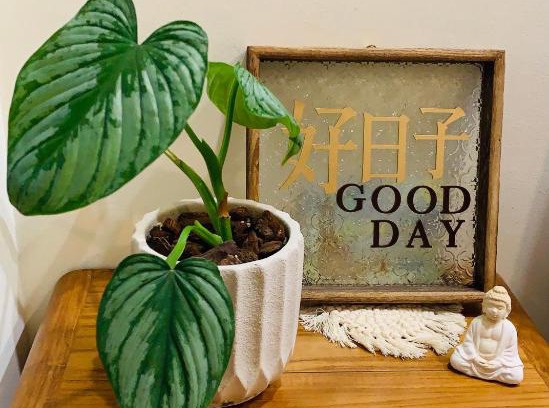 Yuli House | Discover Good Days: Child-Friendly Getaway with Kitchen