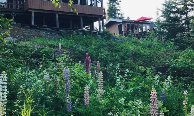 Northern Ontario Cabin | Beautiful Lake of the Woods Cabin with Pool and Views