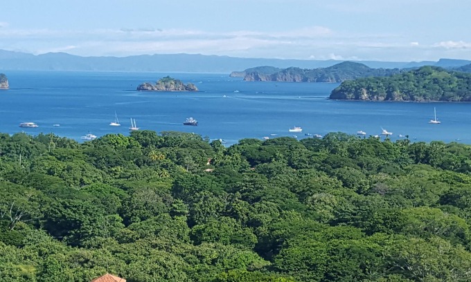 Coco Condo | Ocean View Condo in CoCo Bay Estates - Rated 9.8/10!