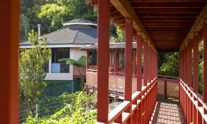 Honokaa House | Gorgeous Octagon - surrounded by forrest and mini cows!