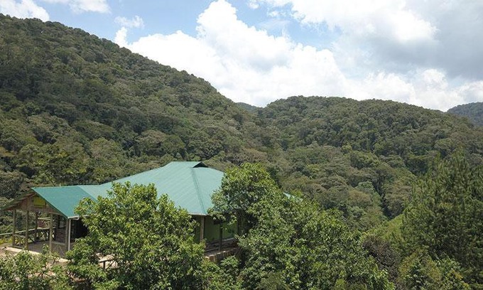 Bwindi Bed & Breakfast | Eco-Friendly Gorilla Hills Lodge with Family and Pet Amenities