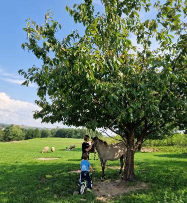 gmina Pawłow House | Unforgettable Family Getaway at Gospodarstwo Pytlówka