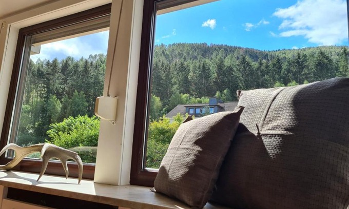 Oker Apartment | Pet-Friendly GP Ferienwohnung: 4-Star Stay with High Ratings