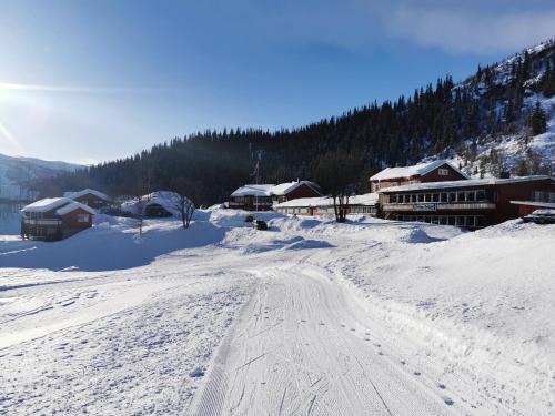 Oystre Slidre Hotel | Relax at Grønolen Fjellgard: Spa, Pool & Pet-Friendly Stays