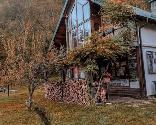 Pluzine Apartment | Pet & Child Friendly Getaway at Grab Cabin - Rated 10/10