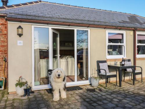 Hurworth-on-Tees House | Pet-Friendly Getaway at Grace's Retreat - 4-Star Haven