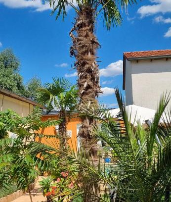 Frankenheim-Lindennaundorf Apartment | Pet-Friendly Grahl's Ferienwohnung with 9.6/10 Guest Rating