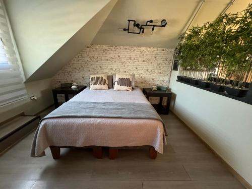 Chillan Apartment | Top-Rated Gran Apart Hotel Chillan: Pet-Friendly Comfort