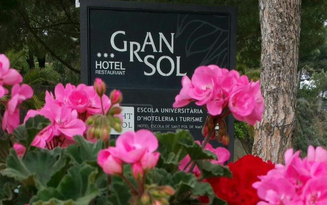 Sant Pol De Mar Hotel | Discover Gran Sol Hotel: Pet-Friendly Retreat with Pool