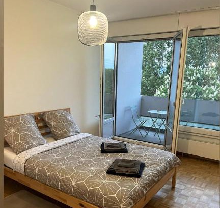 Thonex Apartment | Grand Appartement: Family and Pet Friendly Getaway