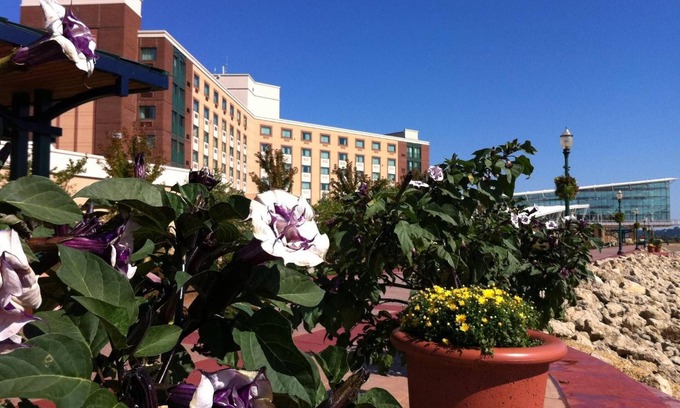 Dubuque Hotel | Family-Friendly Grand Harbor Resort with Waterpark Fun