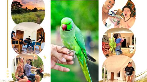 Anuradhapura House | Explore Grand Refuge: Lake Views, Guided Tours & Bikes