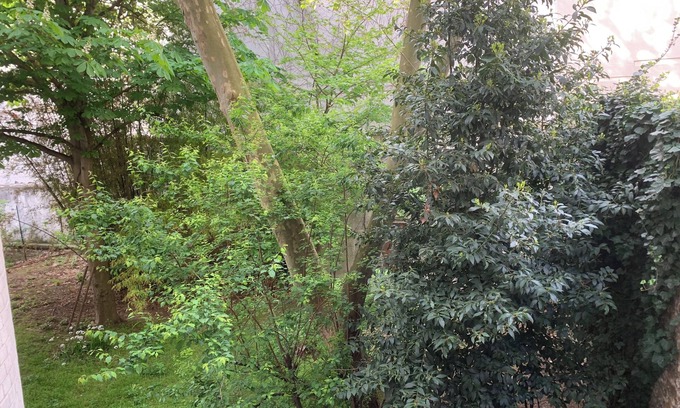 Quartier Saint-Ambroise Apartment | Elegant Grand Studio near Père-Lachaise with Spa & Breakfast