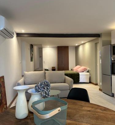 Millau Apartment | Grand studio refait à neuf