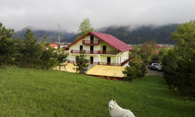 Bucsoaia House | Elegant Grandemi Belvedere Bucovina: Ideal for Families